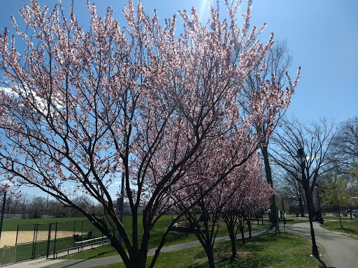 Park «DeHart Park», reviews and photos, 120 Burnett Ave, Maplewood, NJ 07040, USA