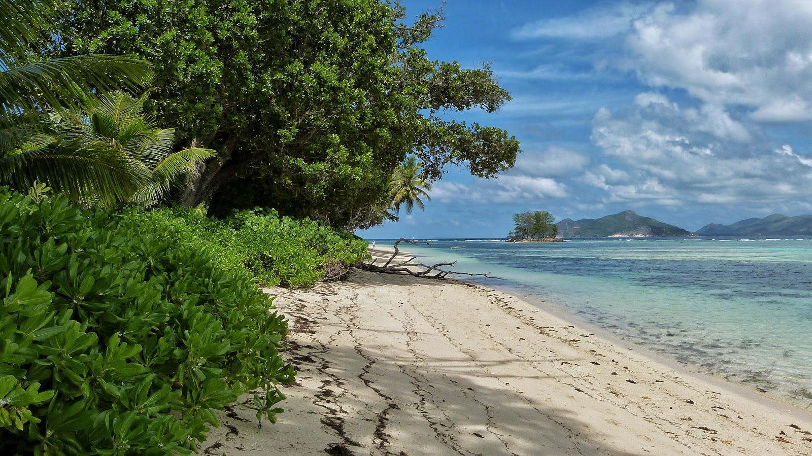 Foto de Anse Reunion Beach - lugar popular entre os apreciadores de relaxamento