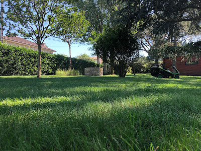 ECT paysage à Saubens