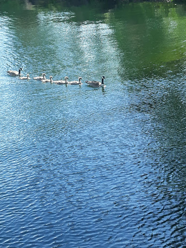 Park «Lake Union Park», reviews and photos, 860 Terry Ave N, Seattle, WA 98109, USA