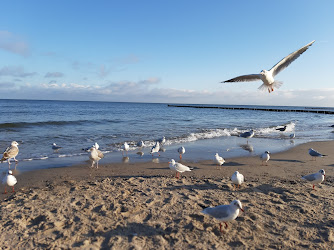 IFA Kur- und Ferienpark Usedom GmbH