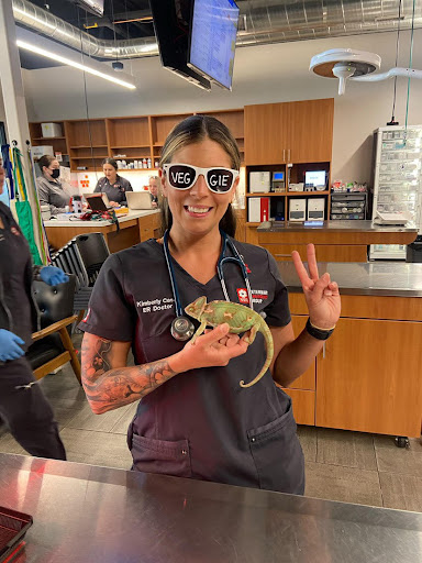 Veterinary Emergency Group image