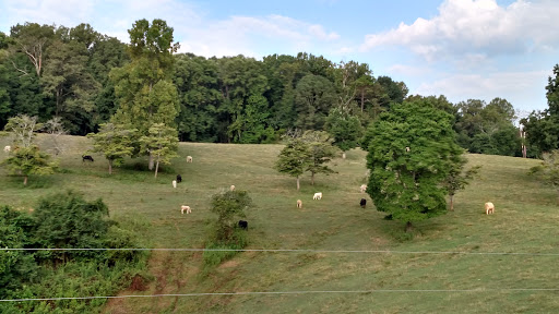 Jessie's Little Market & Deli