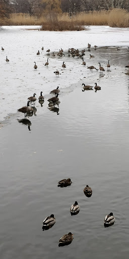 Park «Back Bay Fens», reviews and photos, 100 Park Dr, Boston, MA 02215, USA