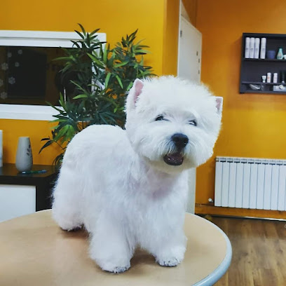 Pet´s Show peluquería canina - Servicios para mascota en Oviedo