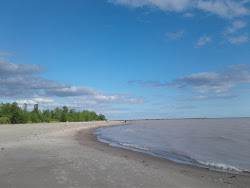 Foto von Dog Beach befindet sich in natürlicher umgebung