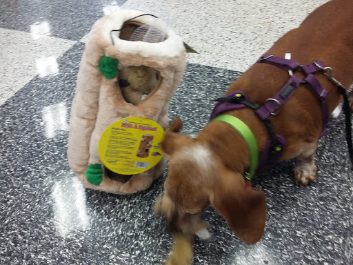 Pet Supply Store «Petco Animal Supplies», reviews and photos, 6612 Richmond Hwy, Alexandria, VA 22306, USA