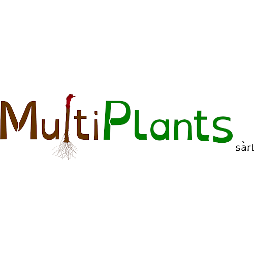 Multiplants Sàrl - Sitten