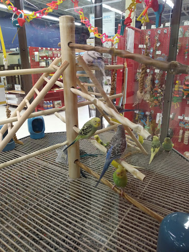 Pet Supply Store «Petco Animal Supplies», reviews and photos, 187 Stonebrook Pl, Jackson, TN 38305, USA