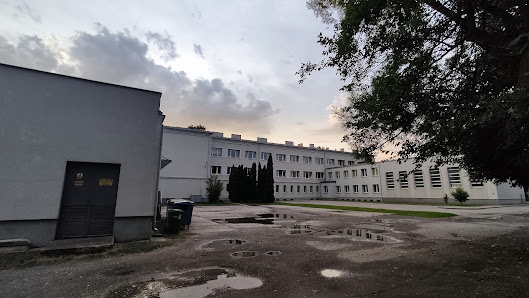 Szkoła Podstawowa im. Cypriana Godebskiego w Raszynie Szkolna 2, 05-090 Raszyn, Polska