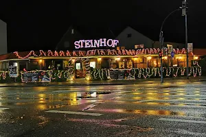 Steinhof image