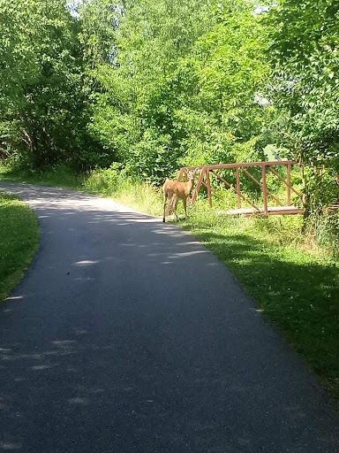 Park «Fairland Regional Park», reviews and photos, 13950 Old Gunpowder Rd, Laurel, MD 20707, USA