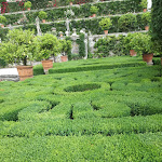 Photo n°10 de l'avis de Valter.o fait le 02/06/2018 à 17:59 sur le  Albergo Ristorante Verbano à Isola Superiore