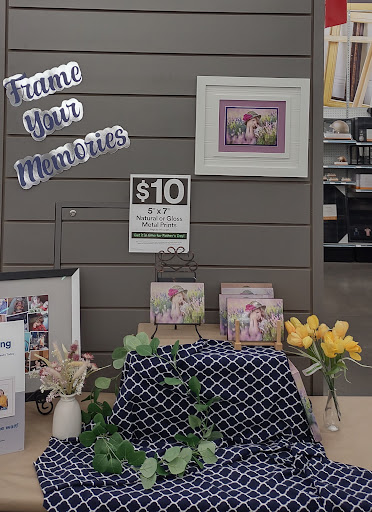 Craft Store «Michaels», reviews and photos, 5255 Eldorado Pkwy, Frisco, TX 75033, USA