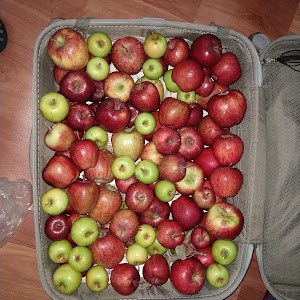 Snow Velley Regency Chandnager photo