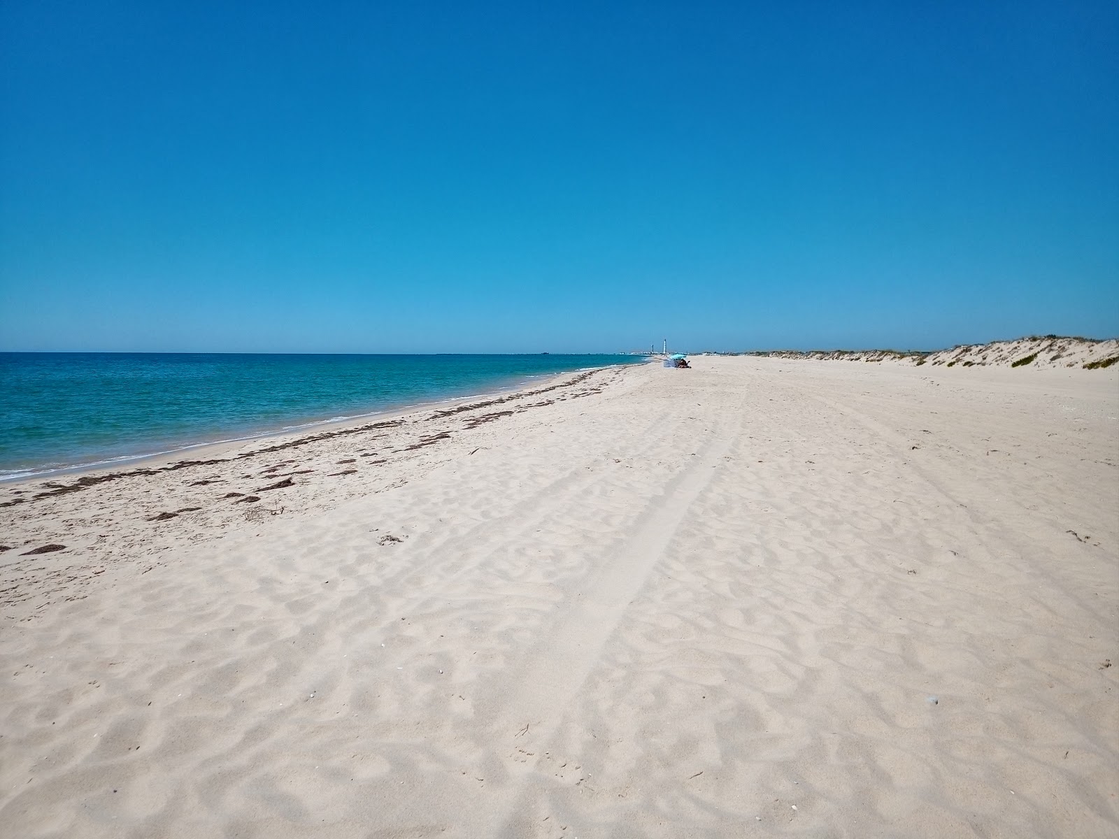 Foto di Ilha da Culatra con una superficie del sabbia fine e luminosa