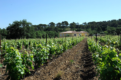 Domaine Belles Pierres à Murviel-lès-Montpellier