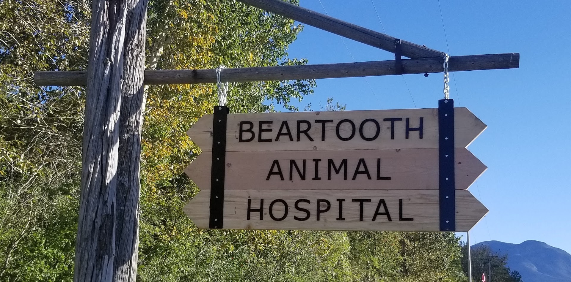 Beartooth Animal Hospital