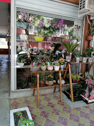 Магазин за цветя - Хризантема
