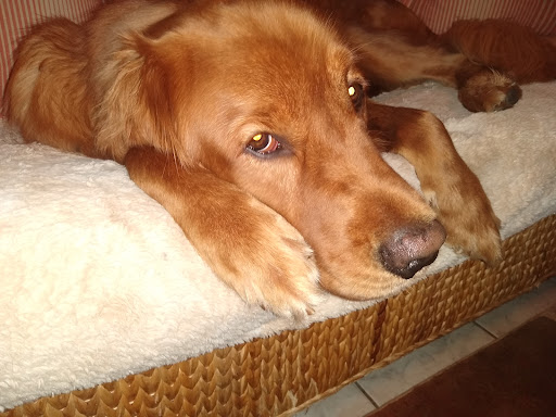 Water's Edge Veterinary Hospital image