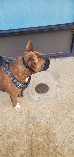 Pet Supply Store «Pet Supplies Plus», reviews and photos, 5394 Kemps River Dr Suite 101, Virginia Beach, VA 23464, USA