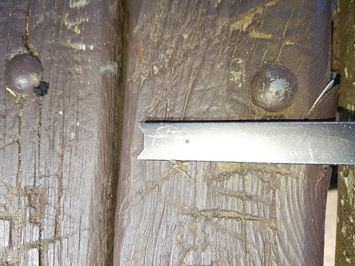 Park «Viretta Park», reviews and photos, 151 Lake Washington Blvd E, Seattle, WA 98112, USA