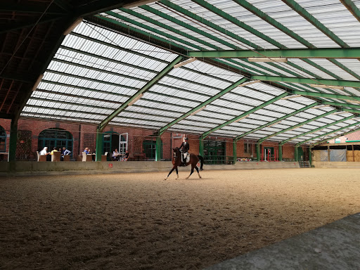 Horse riding courses Brussels