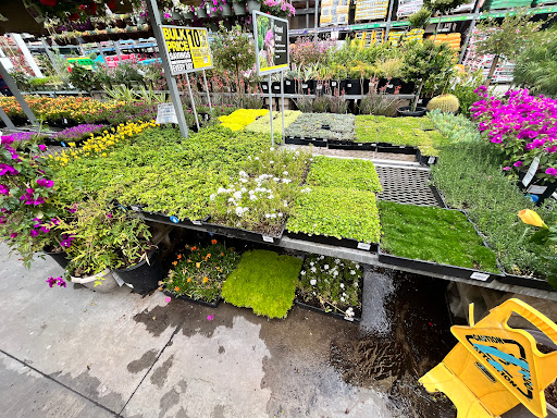 The Home Depot image