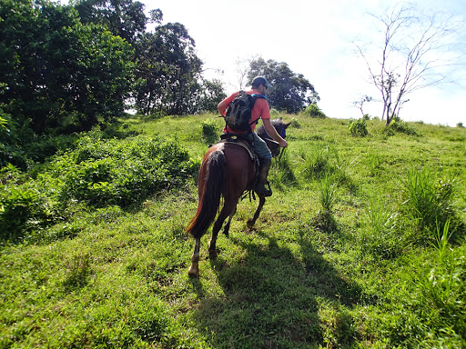 Panama Horseback Horse Riding Adventures