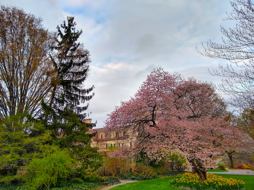 Art Museum «George Eastman Museum», reviews and photos, 900 East Ave, Rochester, NY 14607, USA