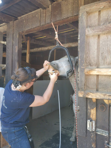Mobile PferdePraxis Salzgeber unter Herdwangen-Schönach, Baden Württemberg
