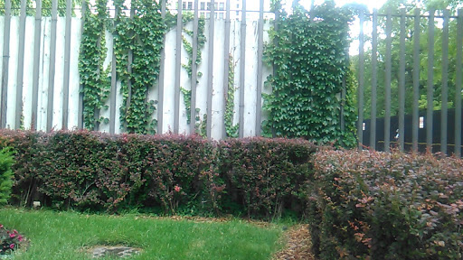 Market In the Park, 5050 S Lake Shore Dr, Chicago, IL 60615, USA, 