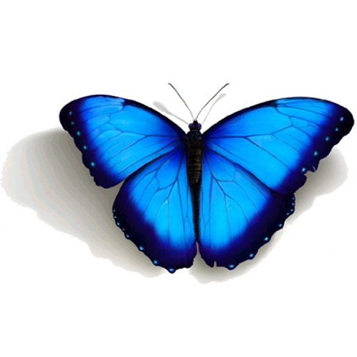 Thrift Store «Wellspring Treasures», reviews and photos, 1600 John B White Sr Blvd #1008, Spartanburg, SC 29301, USA