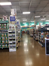 PetSmart - Photo 8 - Car repair in Wylie, TX, Plano