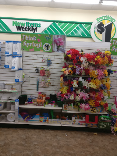 Dollar Store «Dollar Tree», reviews and photos, 35233 Newark Blvd c, Newark, CA 94560, USA