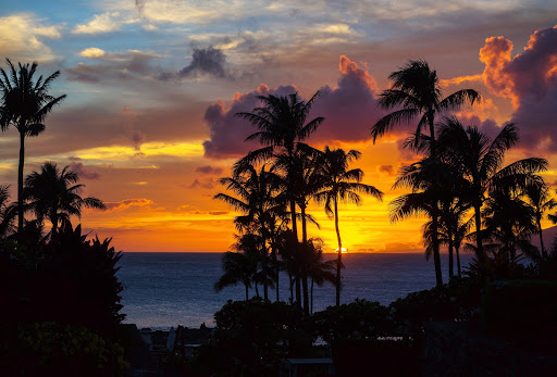 Hardware Store «Harbor Freight Tools», reviews and photos, 3792 Pepperell Pkwy,, Opelika, AL 36801, USA