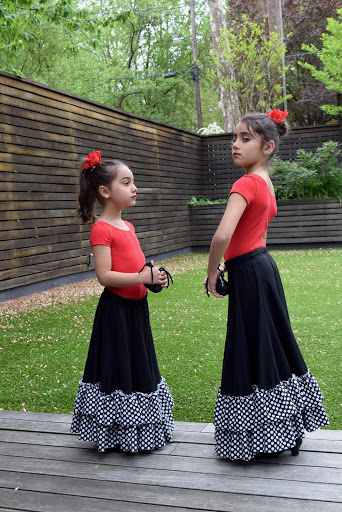 Flamenco 4 Kids!™