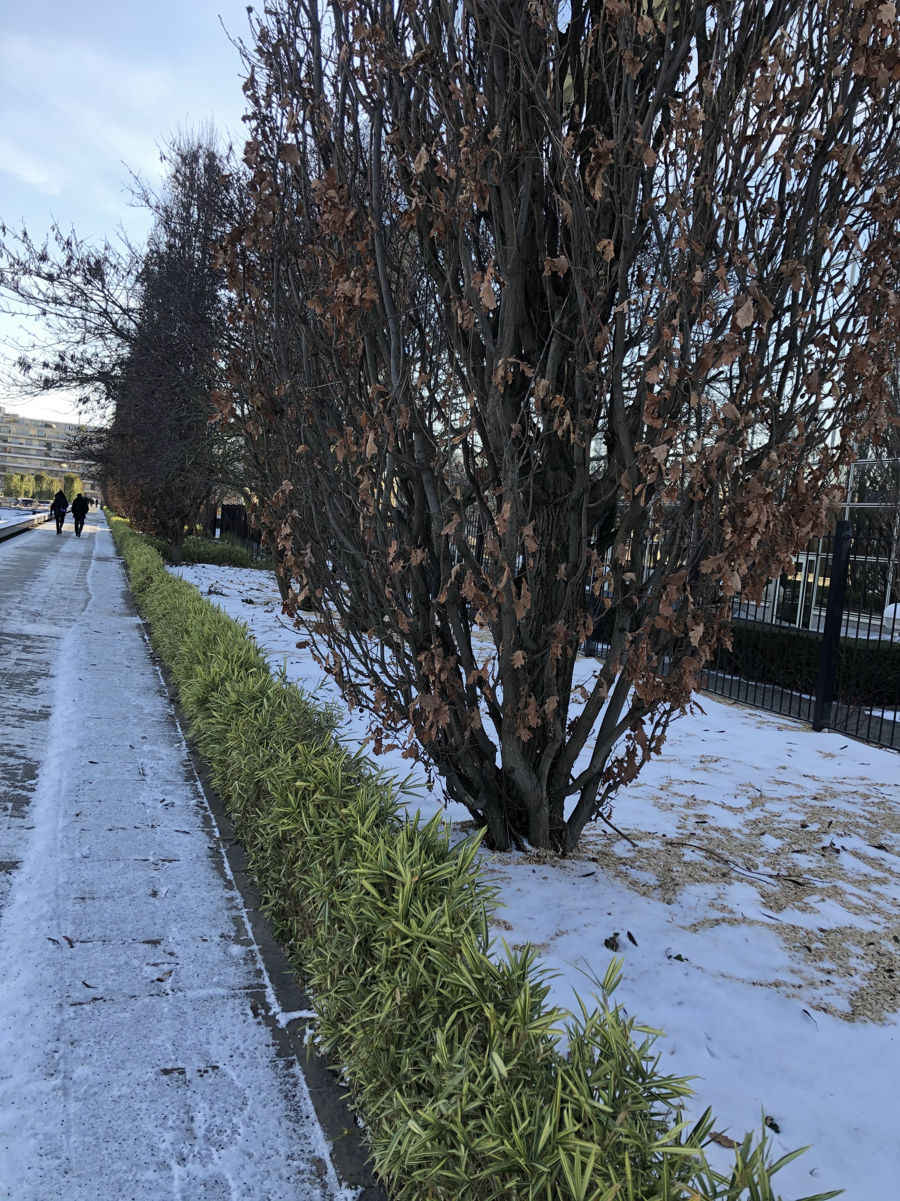 Photo n° 35 de l'avis de Halim.o fait le 15/12/2020 à 14:13