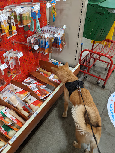 Pet Supply Store «PetSmart», reviews and photos, 100 108th Ave NE, Bellevue, WA 98004, USA