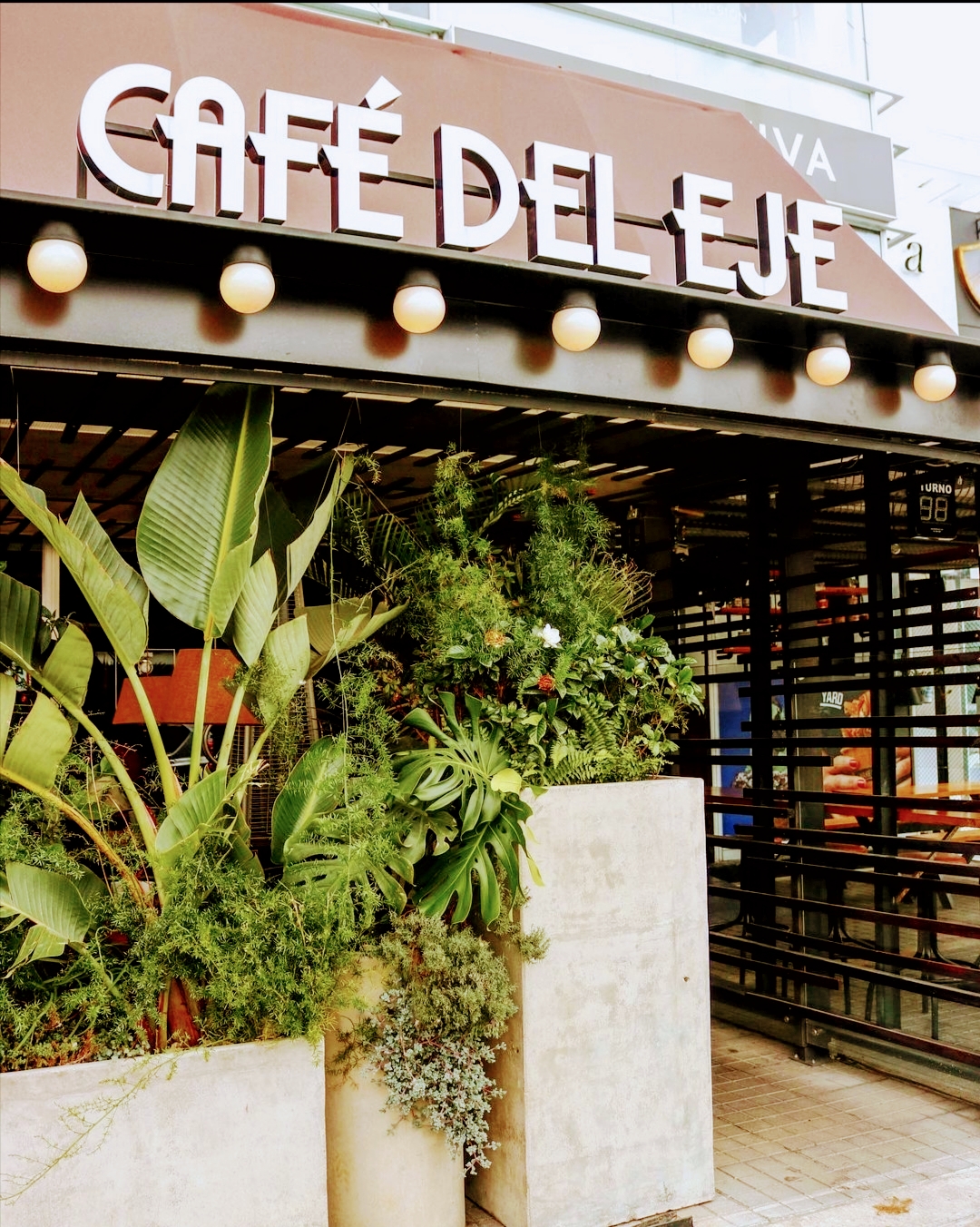 Café Del Eje
