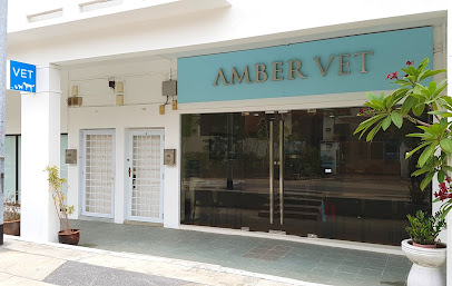 Amber Vet | Vet Clinic