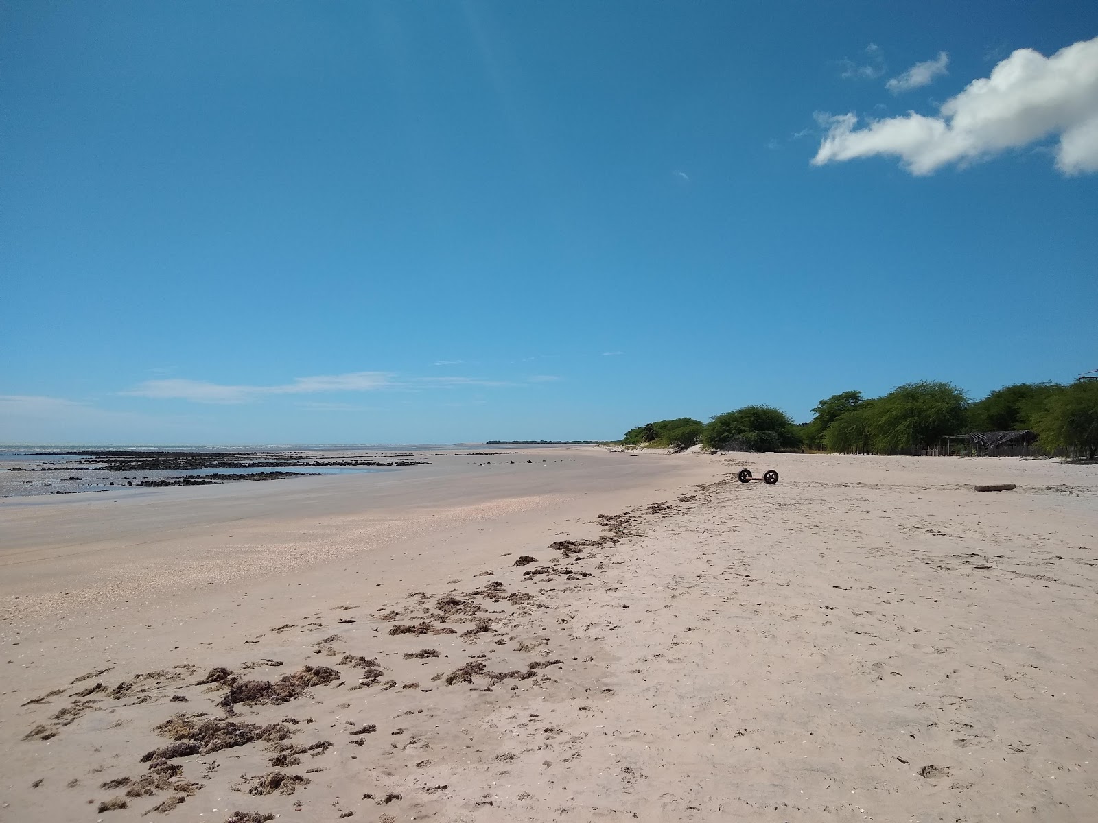 Fotografija Plaža Morro Pintado z dolga ravna obala