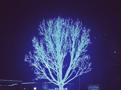 Mortuary «Memorial Redwood Mortuary & Cemetery», reviews and photos, 6500 S Redwood Rd, Salt Lake City, UT 84123, USA