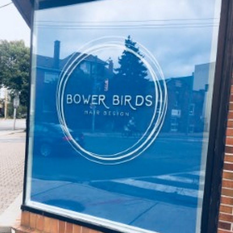 Bower Birds Hair Design