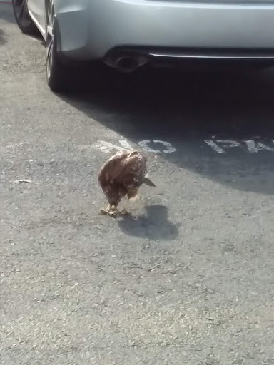 Self-Storage Facility «Security Public Storage», reviews and photos, 4360 Sonoma Blvd, Vallejo, CA 94589, USA