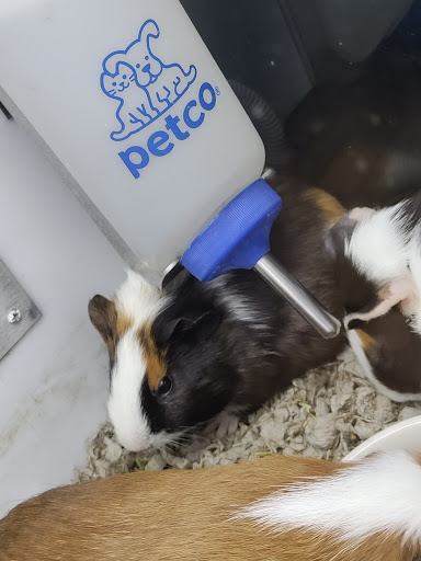 Pet Supply Store «Petco Animal Supplies», reviews and photos, 430 N Euclid St, Anaheim, CA 92801, USA