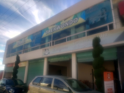 Instituto Taekwondo Olímpico de México