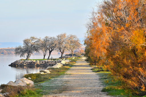 Parc Des Cygnes