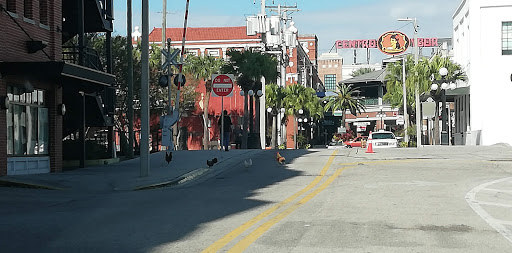 Parking lots Tampa