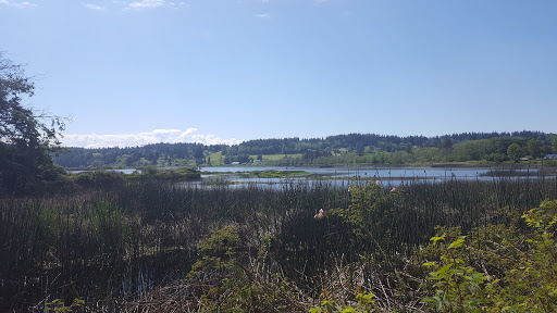 Golf Course «Useless Bay Golf & Country Club», reviews and photos, 5725 Country Club Dr, Langley, WA 98260, USA